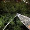 Langlebige tragbare Reisekappe für Toiletten, ultraleichte Wasserflasche, Hygieneaufsatz für Wandern oder Camping