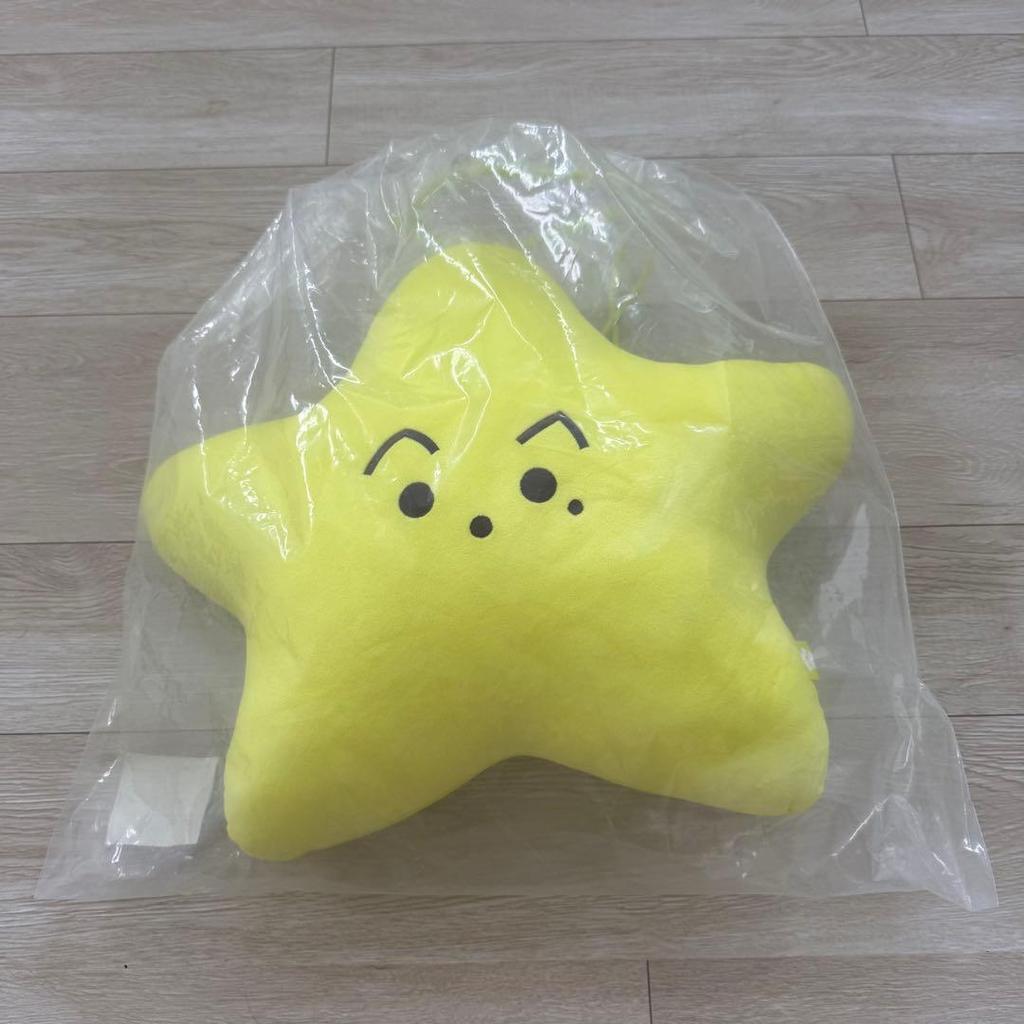 Used nct127 mark starfish cushion