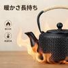 Qoexio Iron Teapot, Nanbu Ironware, Induction Compatible, Teapot with Tea Strainer, Iron Supplement, Can be Cooked on an Open Fire, Traditional Craft,