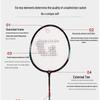 DHS 1010 Alloy Badminton Racket Set