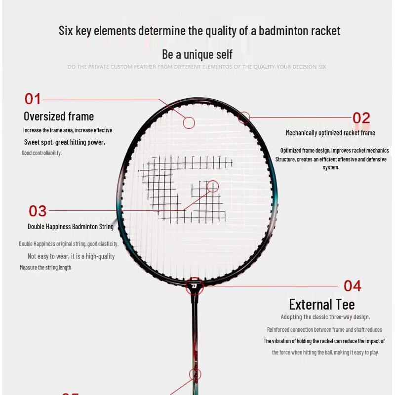 DHS 1010 Alloy Badminton Racket Set
