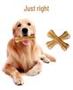 Long-Lasting Rawhide Chew Bone Dog Toy - Dental Snack for Puppies and Dogs