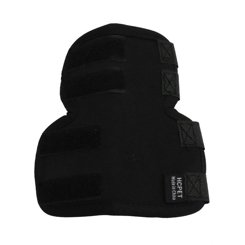 Buy Pet Knee Pad Dog Postoperative Rehabilitation Outdoor Knee Pads Pet