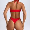 2025 Multicolor European & American Sexy Backless One-Piece Bikini Swimsuit