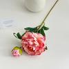 24" Artificial Peonies Flowers for Vase Faux Silk Long Stem Peony Flower Fake Floral Arrangement for DIY Bouquets Wedding Centerpiece Home
