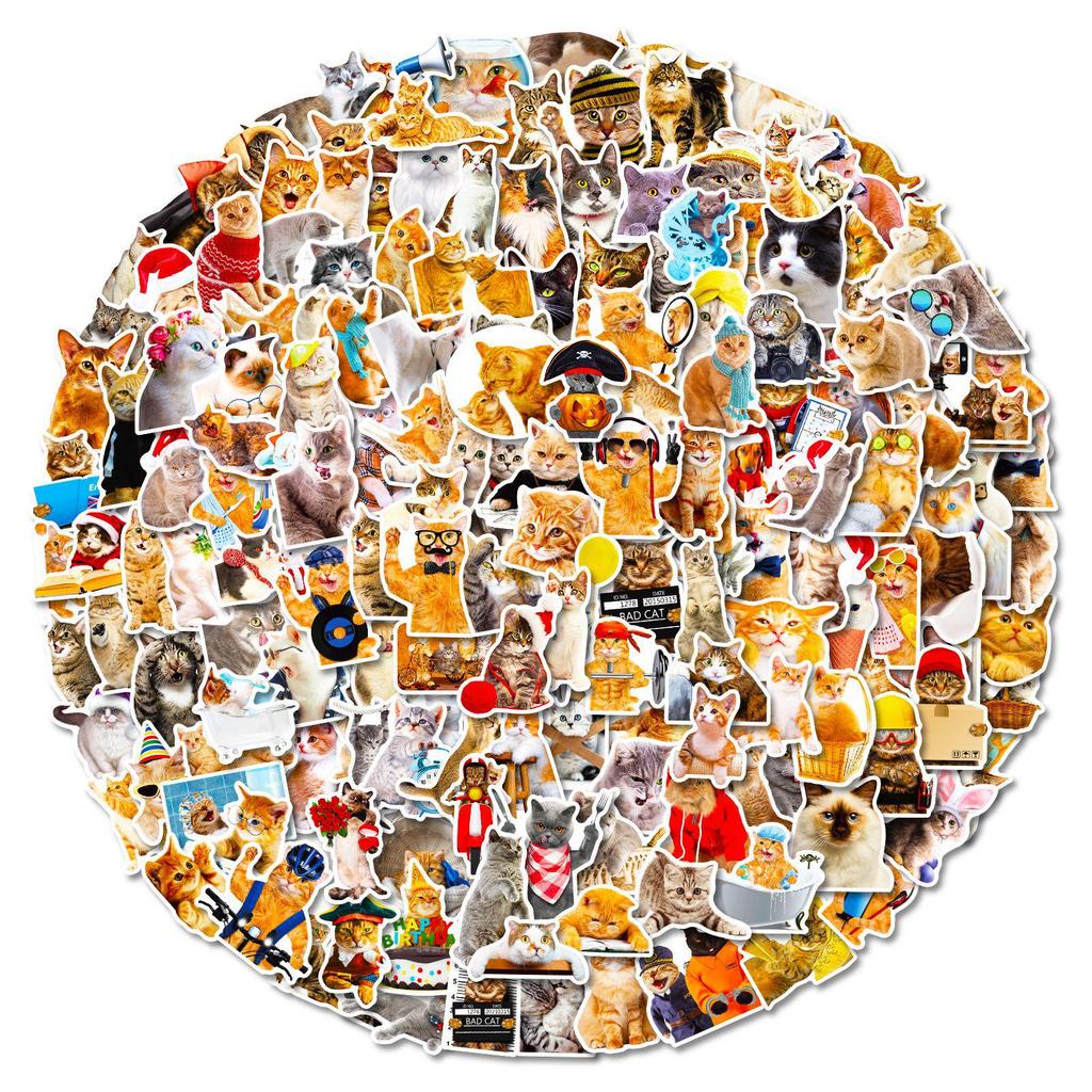 200 Realistic Mori Style Cat Stickers - Self-Adhesive, Waterproof PVC for Notebooks