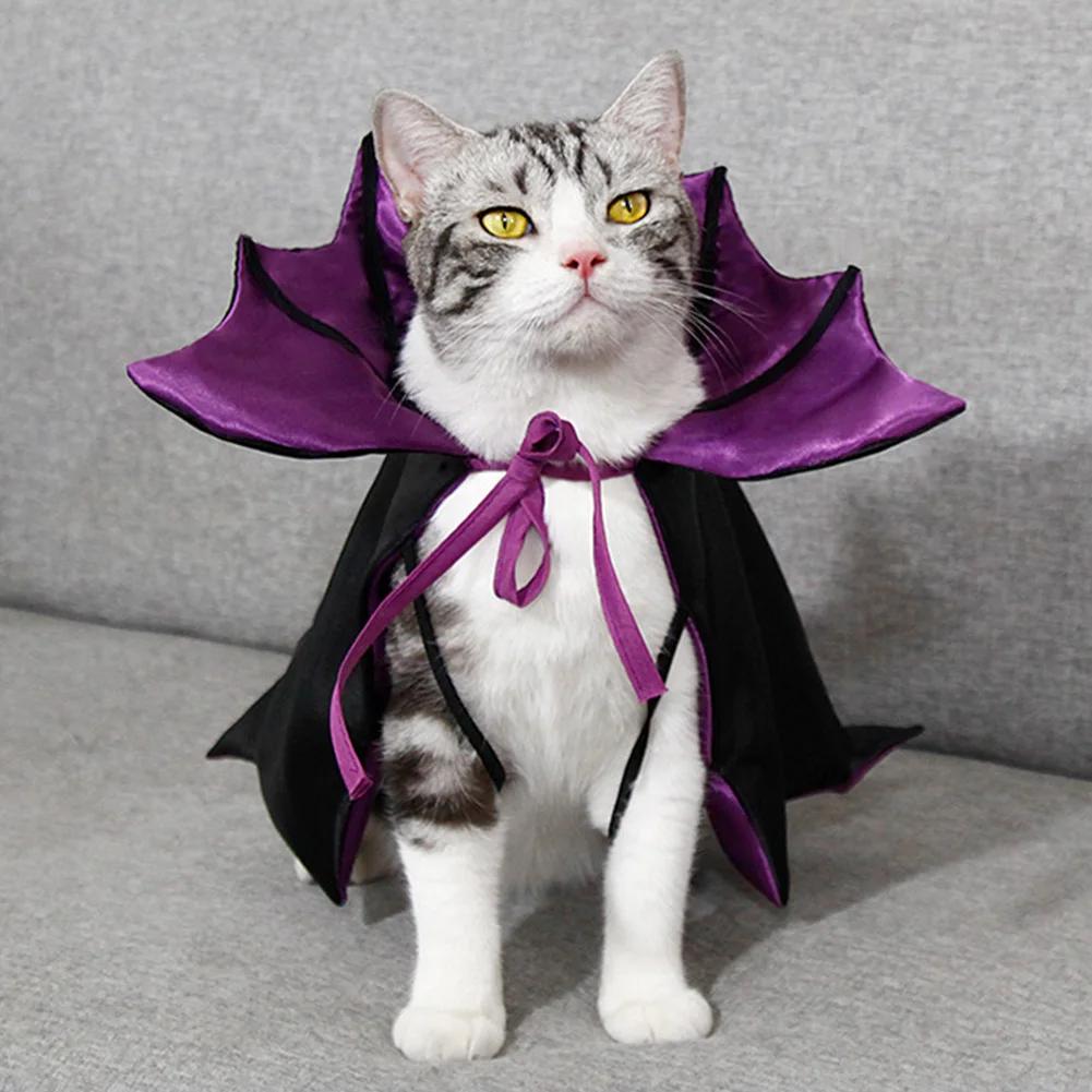 Coole Fledermaus-Verwandlung Halloween Haustierkostüm Stehkragen Bequemer Katzen-Cosplay-Umhang Schleife Einfach Anzuziehen Kätzchenkleid Party