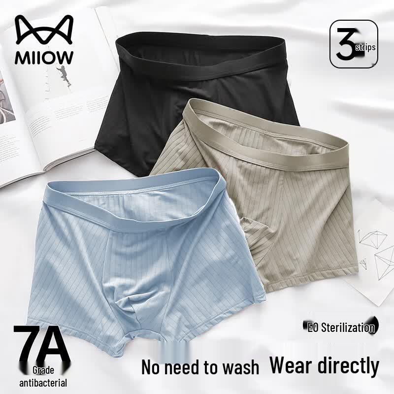 MaoRen Men s Disposable Boxer Briefs 2XL