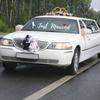 Removable Wedding Car Decals Just Married Vinyls Stickers For Bridal Shower Party Home Decorations Window Murals Gift