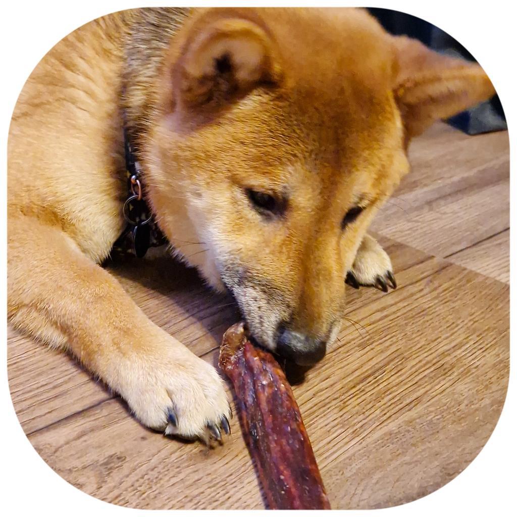 Dogario Bonni Sausage Natural - Natural Hard Sausage