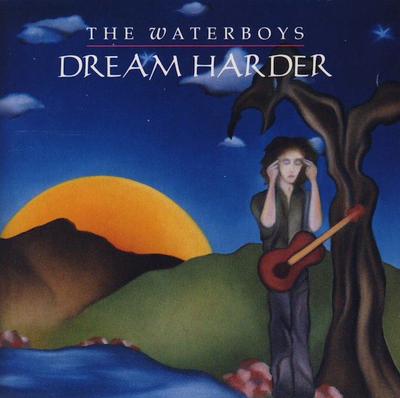 CD WATERBOYS - Dream Harder GEFD24476 Geffen Records 1993 US Rock Usado