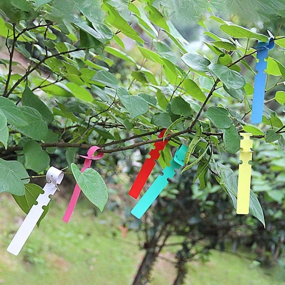 100pcs/set Hanging Nursery Garden Labels Vegetables Gardening Plant Set Labels Marker Name Tags