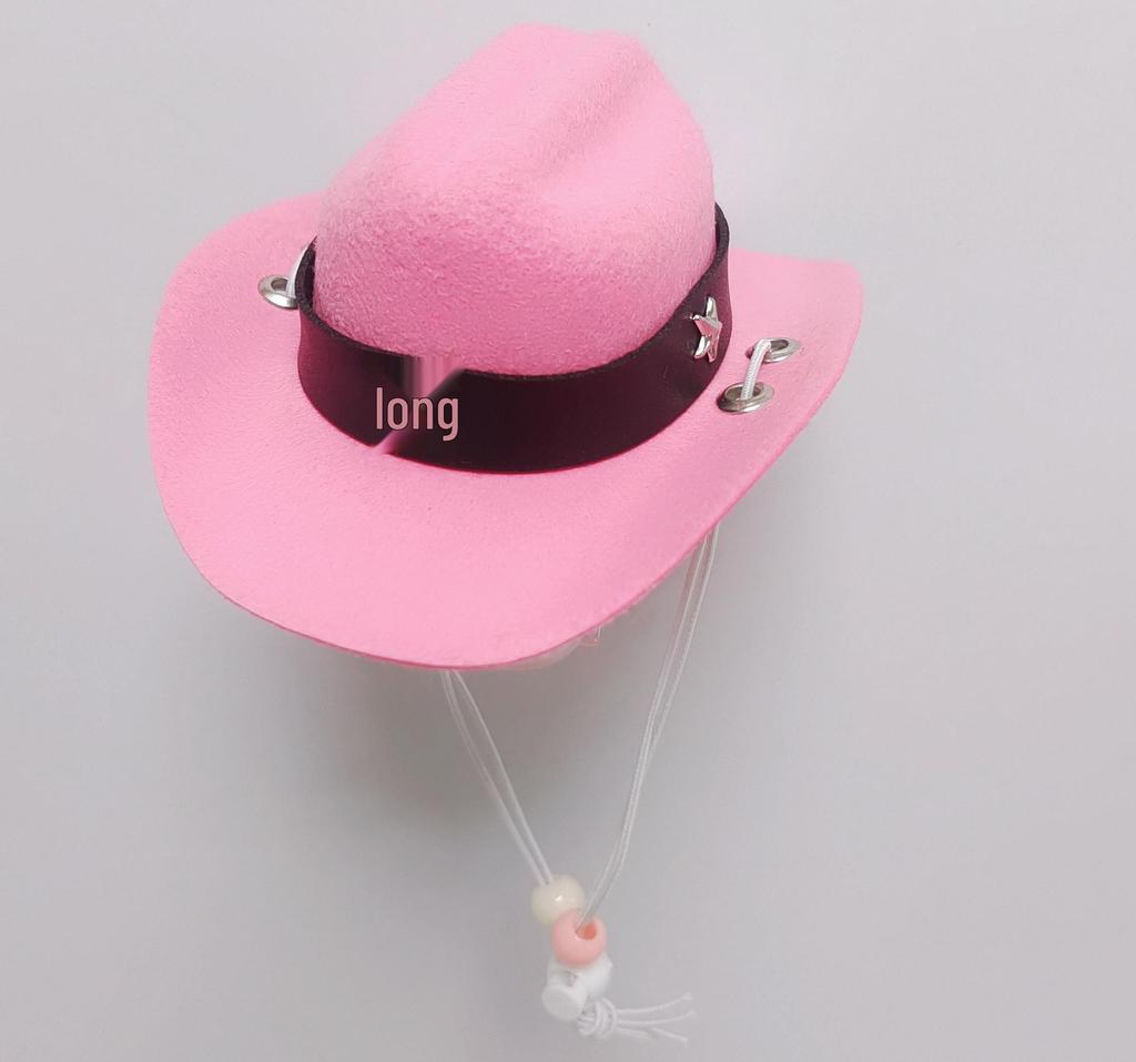 Denim Cowboy Hat with Star for Cats & Small Dogs