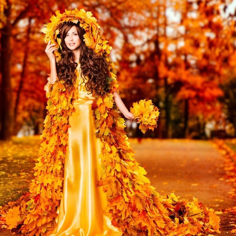 50 Stück leuchtend farbige künstliche Ahornblattmodelle mit natürlicher Textur für Heimdekorationen und saisonale Ausstellungen