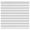 VidaXL Store Zèbre Gris Clair Largeur Du Tissu 155,9 Cm Polyester, Store Enrouleur Zébré, Store Zébré Pour Fenêtre, Store 4014455