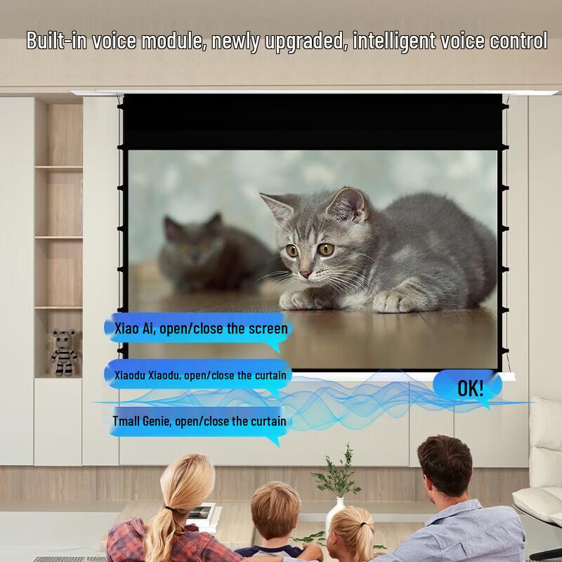 Deli MS901 Smart Electric In-Ceiling Projector Screen
