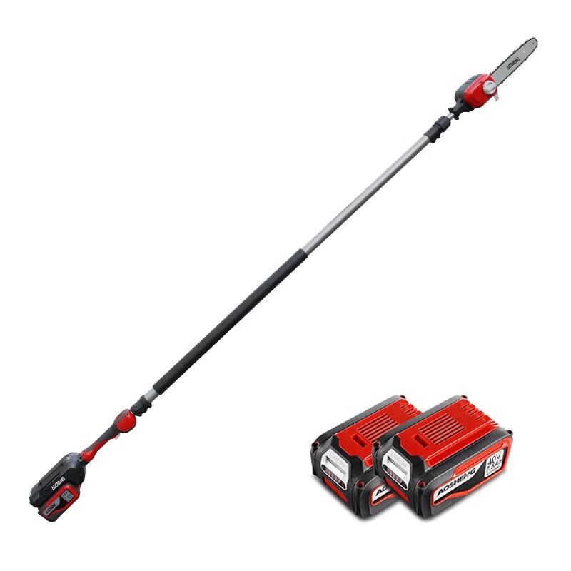 Aosheng Machinery H40GZ12 Cordless Electric Pole Chainsaw CN plug (adapter included)