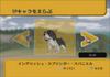 Hund und Zauberhut Wii -