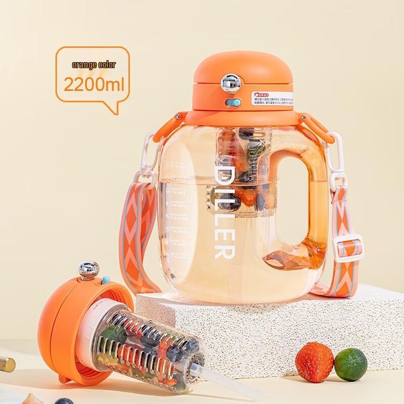 Diller Le Shang 2.2L Insulated Water Bottle with Carry Strap