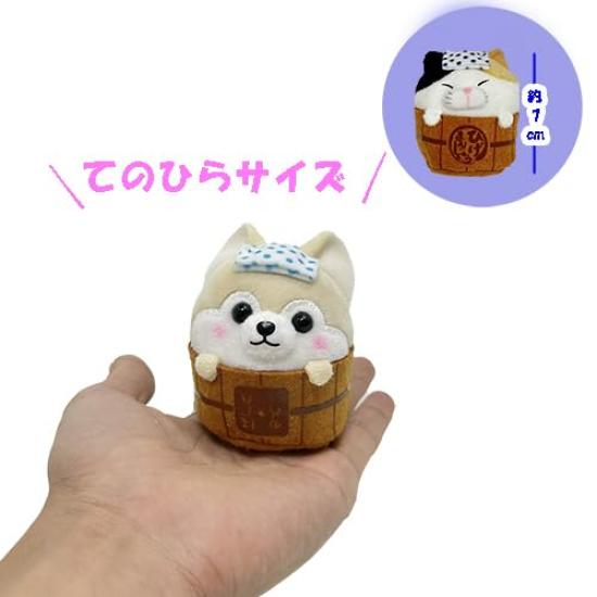 Higemanju x Mameshiba Three Brothers Plush Mascot, Cute Item, Approx. 7cm (Sasuke (White))