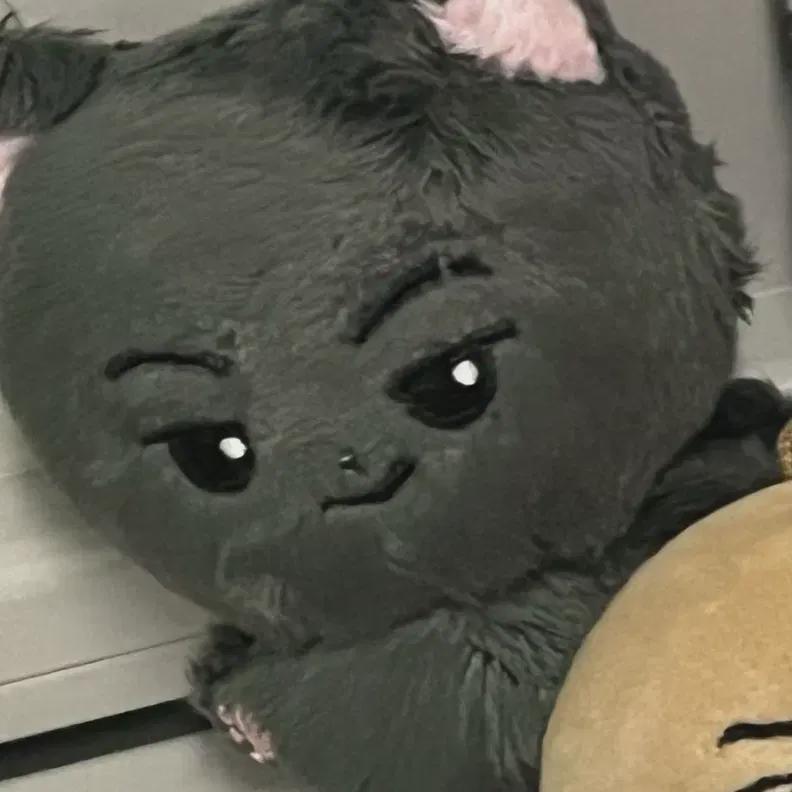 

Enhypen Jay Doll, American