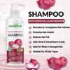 Essancia Onion Shampoo for Healthy, Shiny & Strong Hair | No Paraben No Silicones | For Men & Women (500ml)