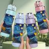 1PC Starry Night Van Gogh Famous Painting Print 750ml Color Plastic Sports Water Bottle Leakproof Flip Straw Lid Suitable for Sports Office Home Use