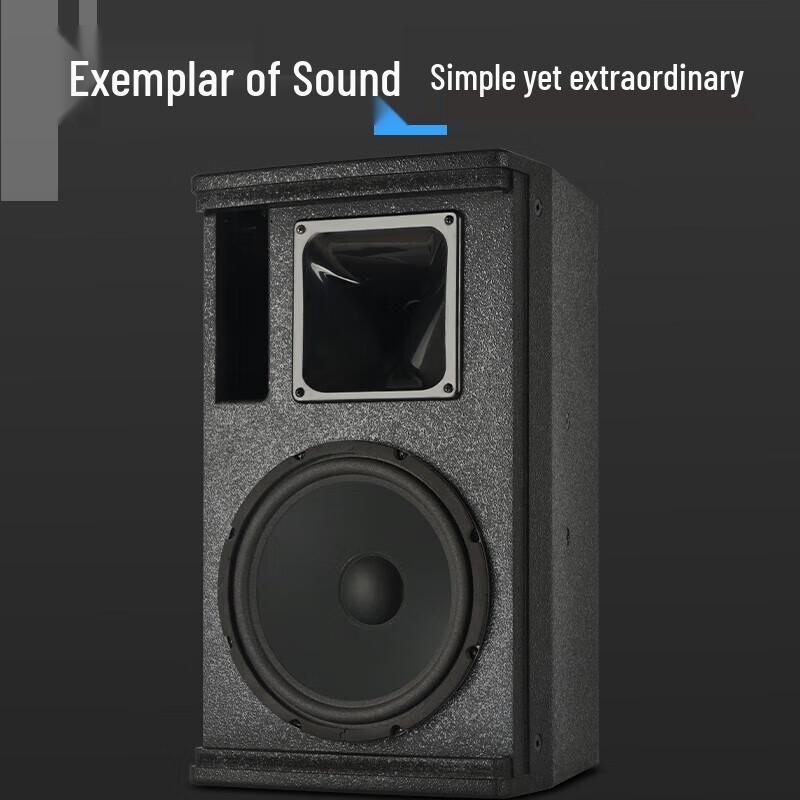 KaYouLa K12 Professional 12-inch Full-Range Speaker