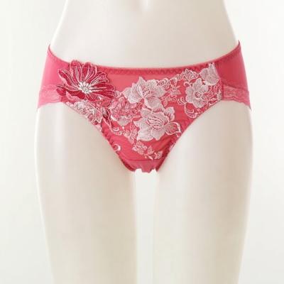 Sparkling Embroidered Lace Panty Dpt0467a
