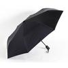 Waltz In the Rain Black Lightweight Compact Folding Umbrella with Automatic Opening and Closing Function (Nurein)