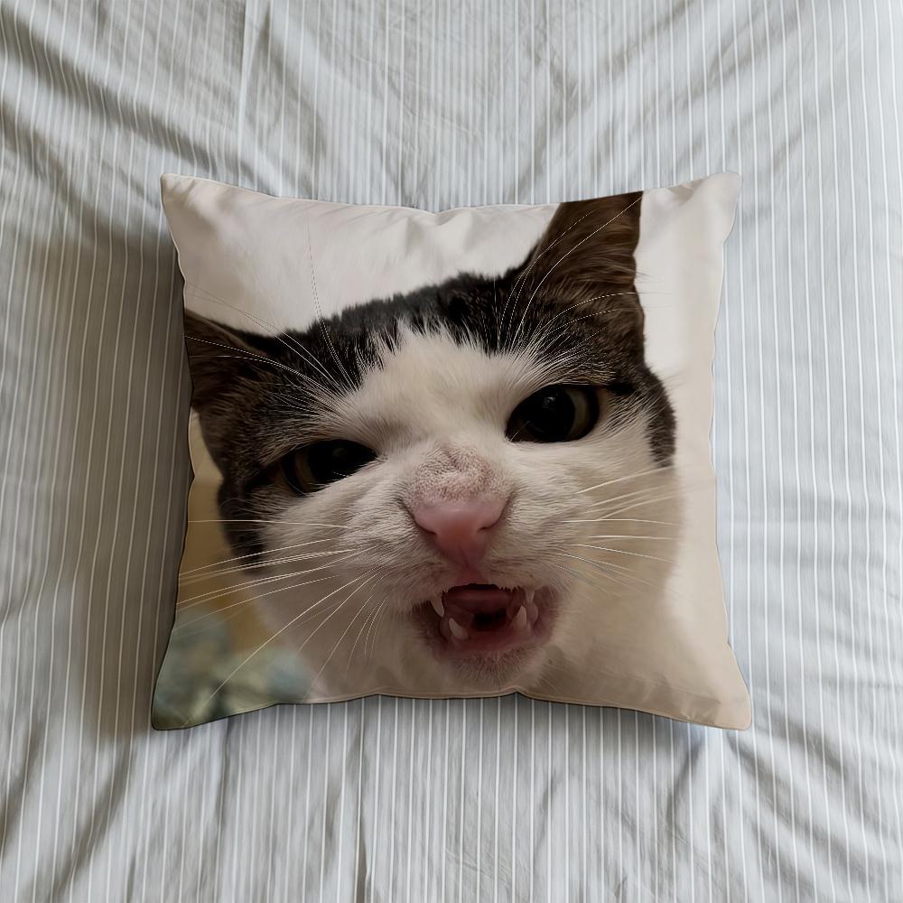 Cushion Cover Soft Meme Case Funny Sofa Living Room Home Comfortable Office Decor Cat Protective Pillow