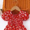 Puff Sleeve Summer Flower Dress Party Toddle Dress Kids Skirts Baby Girls Princess Dress  Holiday