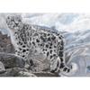 5D DIY diamantová malba Zimní sada pro vyšívání sněžným leopardem Úplná diamantová vyšívání drahokamu Obrázek Mozaika Domácí dekorace