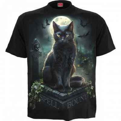 Üst giysisi – T-shirtler