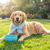 2Pcs Breathable Towel Pet Cooling Ice Scarf Adjustable Pet Cool Neck Ring  Outdoor Travel