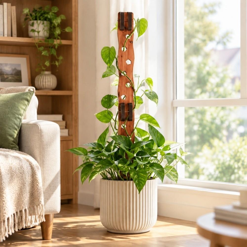 Extendable Plant Support Frame Hollow Out Plant Fixed Frame Plant Stand Indoor