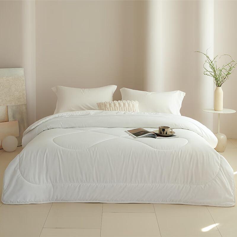 

Southern Bedding All-Season Antibacterial Quilt