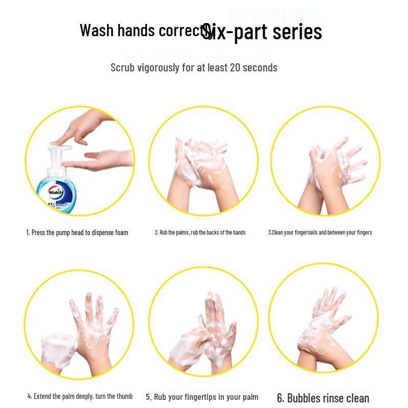 Walch Foaming Antibacterial Hand Wash Bundle