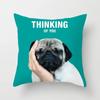 Office Living Room Home Pillowcases Various Animal Cartoon Pattern Pillowcases Car Ornaments