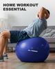 Trideer Exercise Ball Extra Thick Yoga Ball Stability Supports Up To 2200 Maternity Ball with Quick Pump Home Large (45-85cm), Chair, Heavy-Duty Ball,