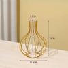 1 Set Golden Vase Metal Flowers Pot Hydroponic Container Test Tube Vase Modern Luxurious Home Desk Decoration Alloy Glass Vases