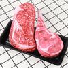 Large Eco-Friendly Meat Steak Chew Toy for Dogs Sound Pressure Resistance Made of Oxford Cloth New Pet Sound Toy
