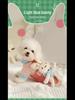 Spring & Winter Dog Clothes: Bichon Frise, Pomeranian, Teddy, Small Dog Sweater