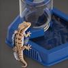 ABS Reptile Water Dish Automatic Creative Water Dish New Turtle Feeder Station  For Snakes