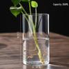 High Borosilicate Glass Hydroponic Vase & Desktop Planter - Straight Tube Design for Artistic Arrangements and Moss Ecosystem