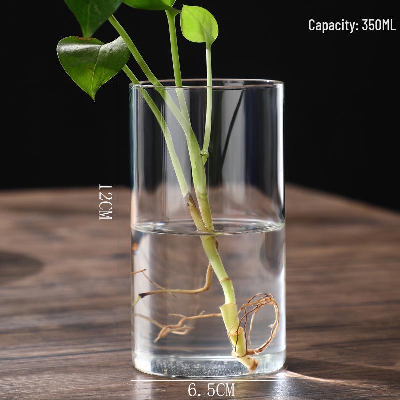 High Borosilicate Glass Hydroponic Vase & Desktop Planter - Straight Tube Design for Artistic Arrangements and Moss Ecosystem