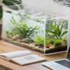 Small Aquarium Betta Tank Frameless Extra Clear Bowl For Crab Spider Terrariums Mini Habitat Temporary Space Men Women Nature