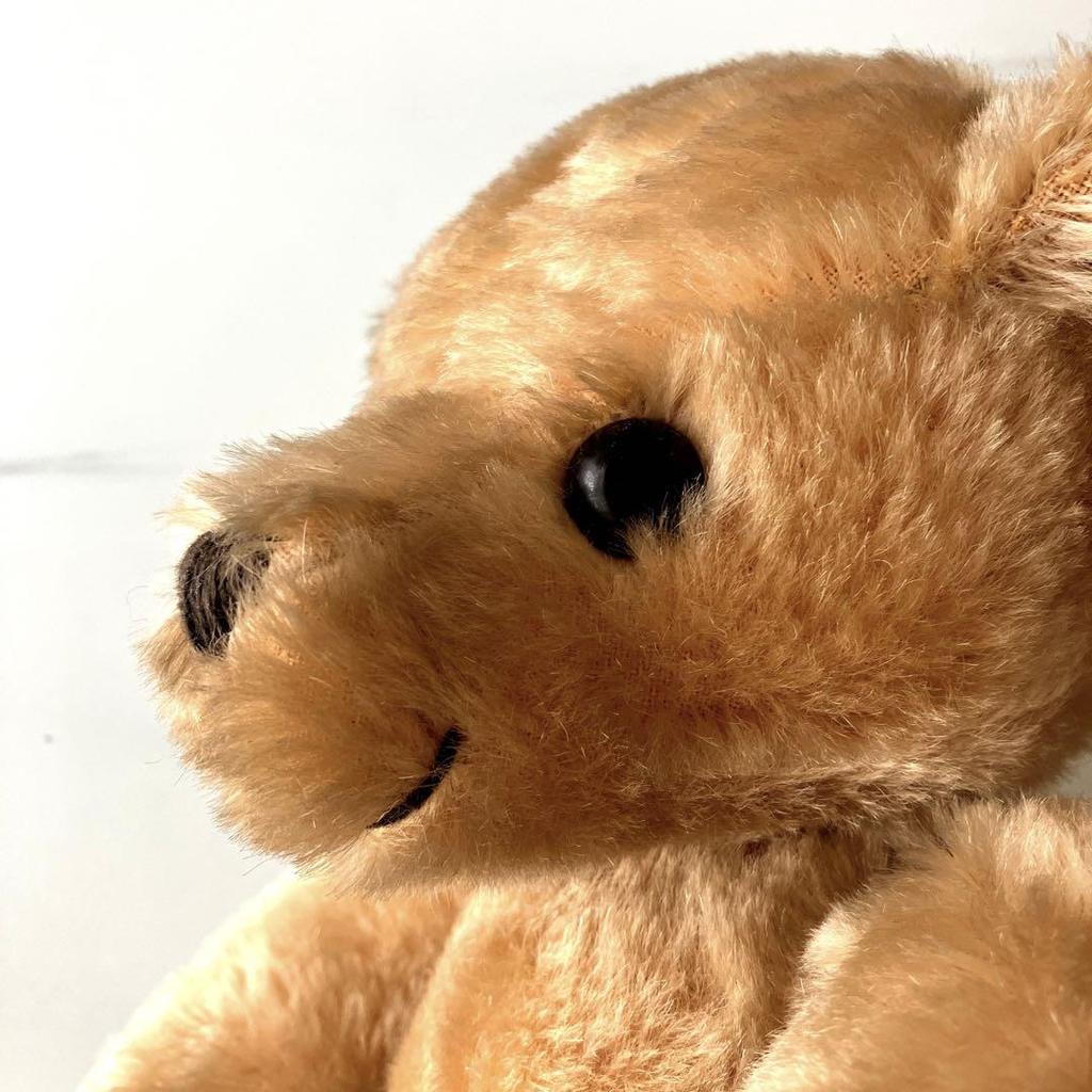 [USED] Teddy Bear Merrythought
