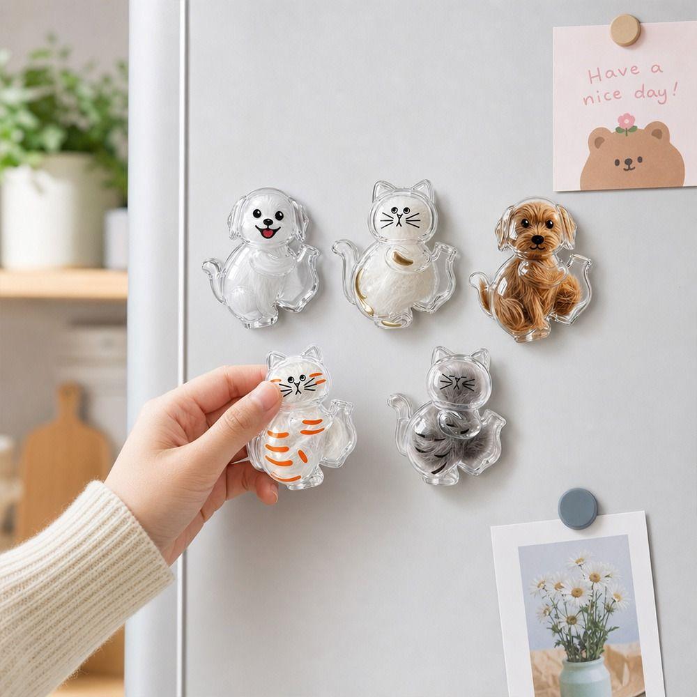 Magnetischer Rückseite Tierhaare Andenkenhalter Klare Tierhaare Gedenkbox Katze Hund Andenken