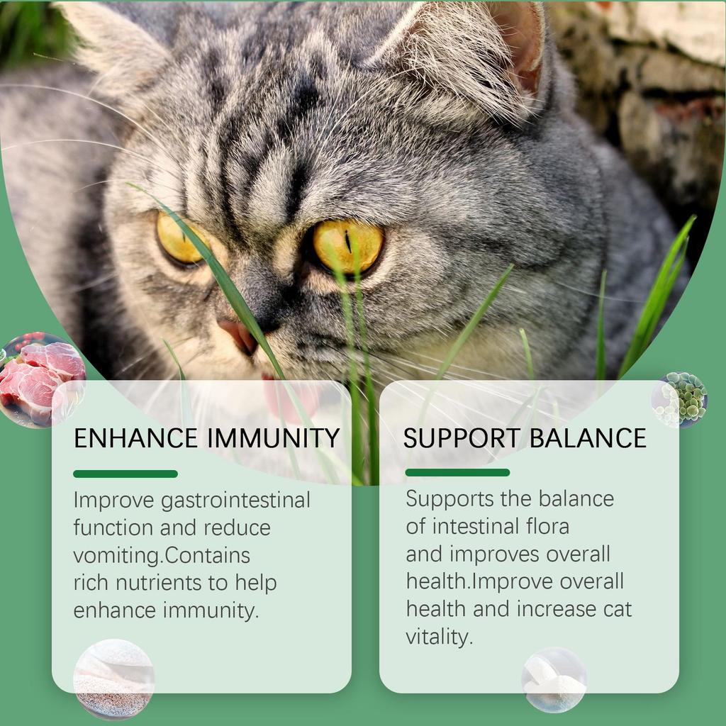 YEGBONG Cat Grass Tablets (80 Tables) - Improves Gastrointestinal Function and Protects Pet Health with Dietary Fiber.